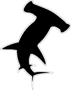 Landshark Information Technology